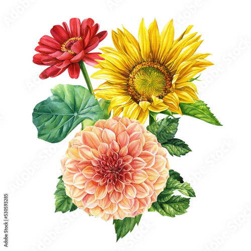 Multicolored flowers. Sunflower, rose, dahlia, zinnia and leaves. Hand painted illustration. Watercolor drawing