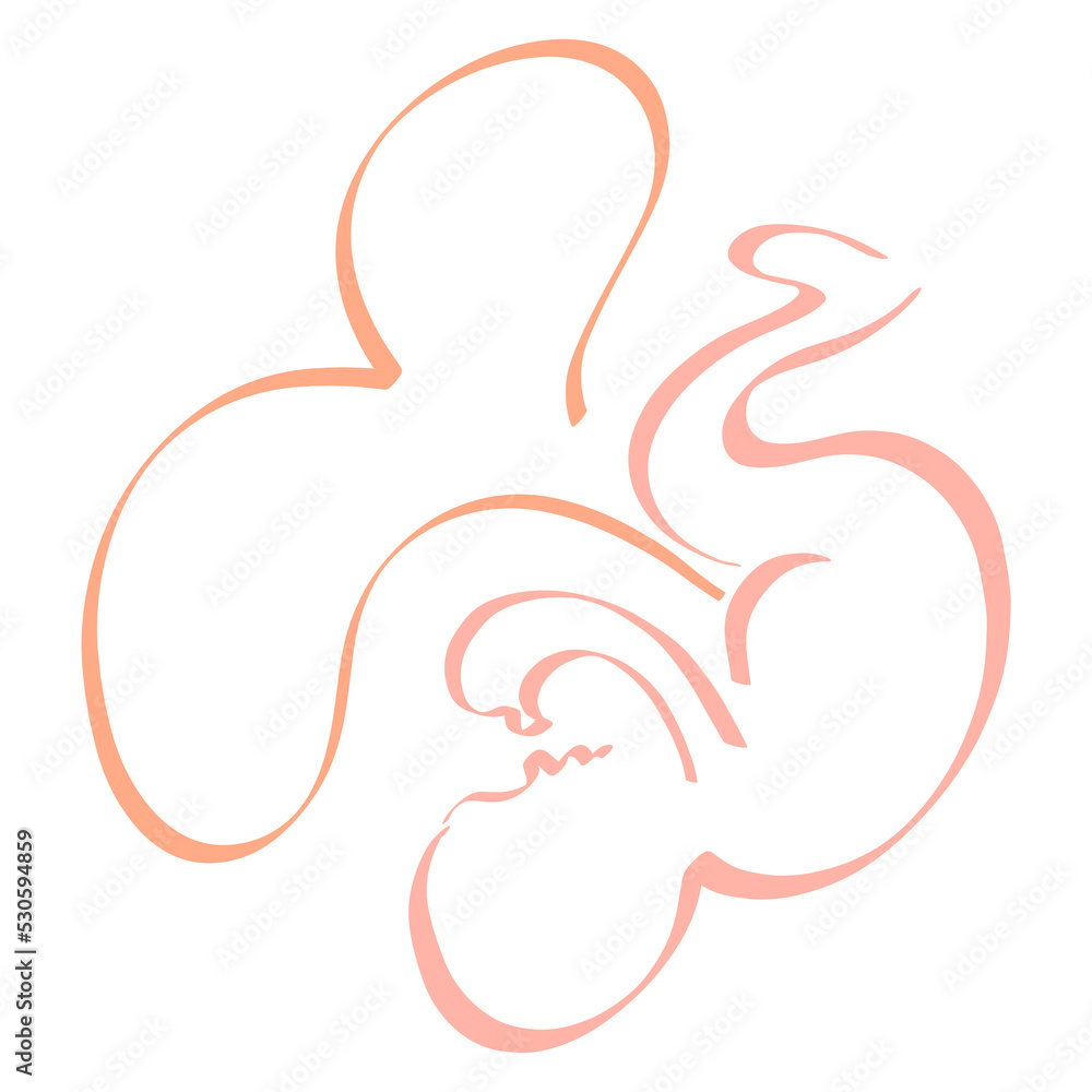 newborn or unborn baby with a long umbilical cord in the shape of a heart, abstract silhouette on a white background