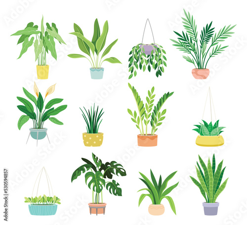 Set of Home plants in flowerpots. Beautiful Houseplants with green leaves and branches. Home decor or gardening. Design element for print. Cartoon flat vector collection isolated on white background