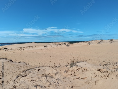 sand dunes and sky