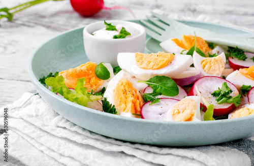 Salad with multicolored radish, boiled eggs, arugula and parsley is served with sour cream on the green plate