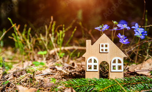 The symbol of a house in a forest clearing among blue snowdrops 