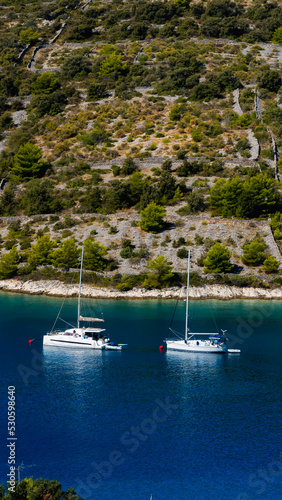 2 sail boats (1 catamarans) in a bay with olive trees in the background in Sevid, Croatia
