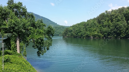 Water Sky Cloud Plant Natural landscape Fluvial landforms of streams