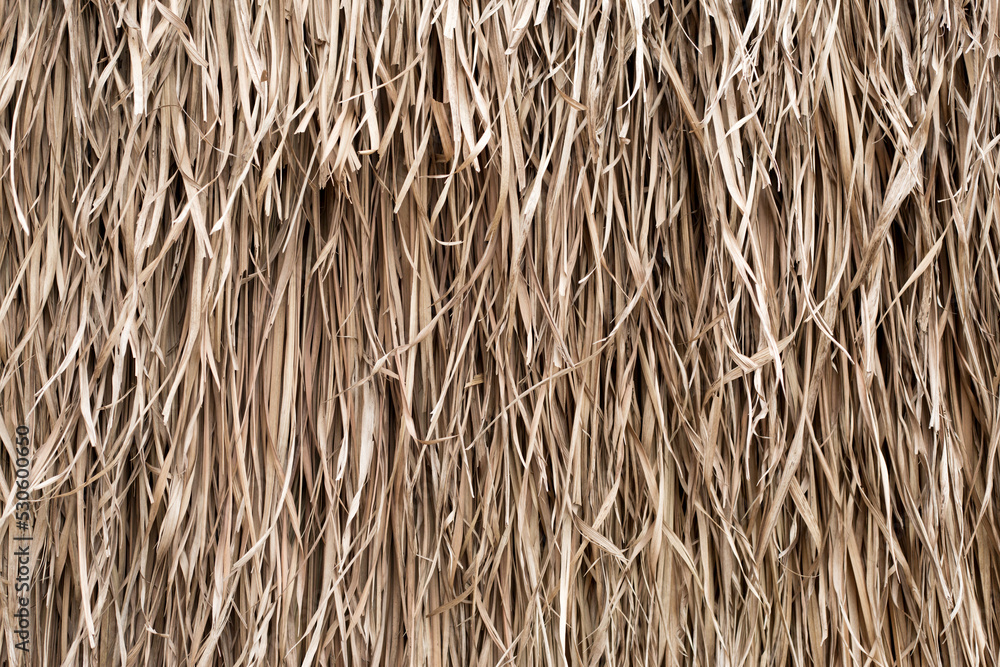 Straw texture. Tropic roof summer background. Straw texture. Tropic roof summer background.
