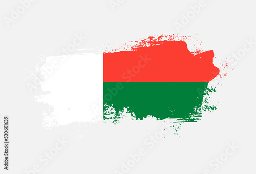 Flag of Madagascar country with hand drawn brush stroke vector illustration