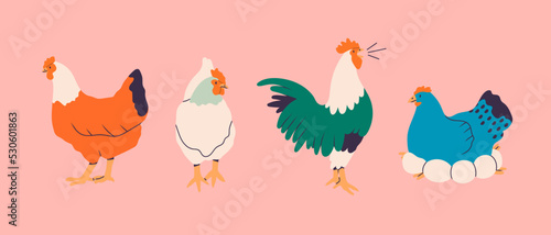 Domestic Chicken set. Different hens, rooster, eggs in nest. Various breed. Farm birds, Easter, organic eco food concept. Design elements. Cute farm animals. Hand drawn Vector illustration