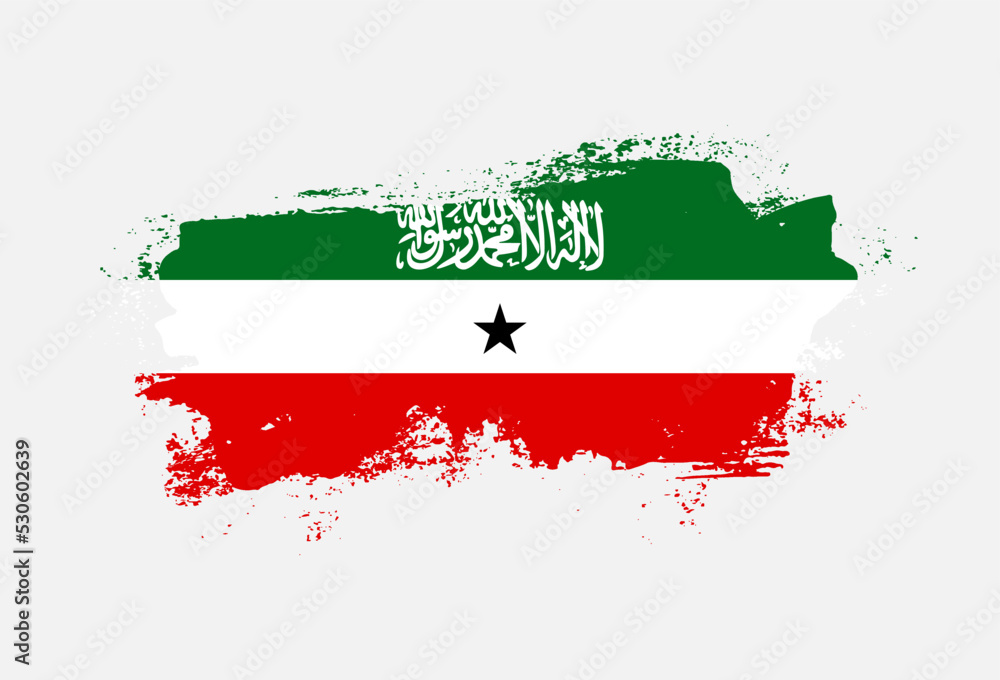 Flag of Somaliland country with hand drawn brush stroke vector illustration Flag of Somaliland country with hand drawn brush stroke vector illustration