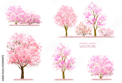 Canvas-taulu Vector watercolor blooming flower tree or forest side view isolated on white bac