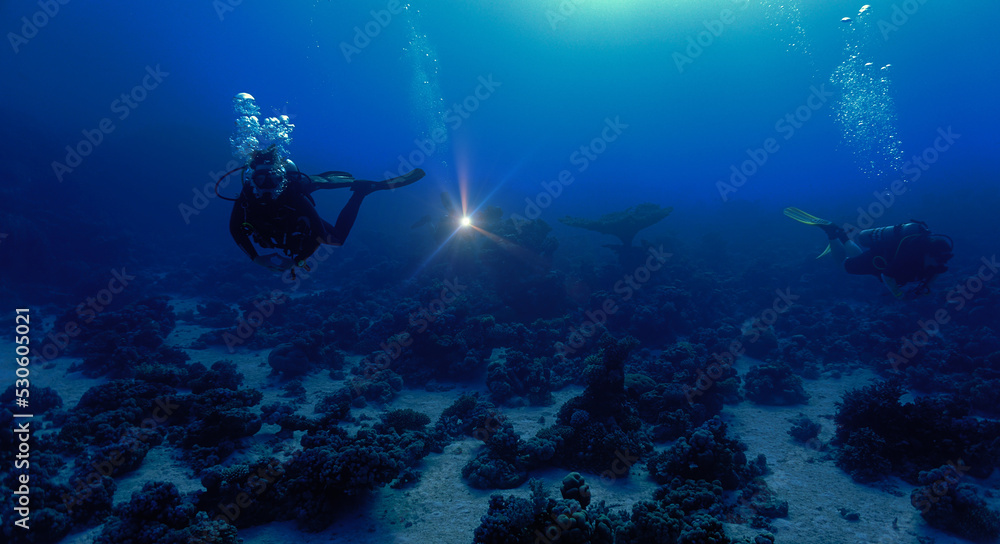 Beautiful underwater landscape and coral reef with divers 