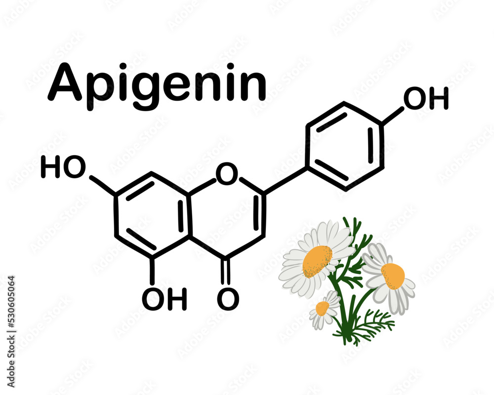 Chemical structure of apigenin. Chamomile officinalis. Apigenin is one