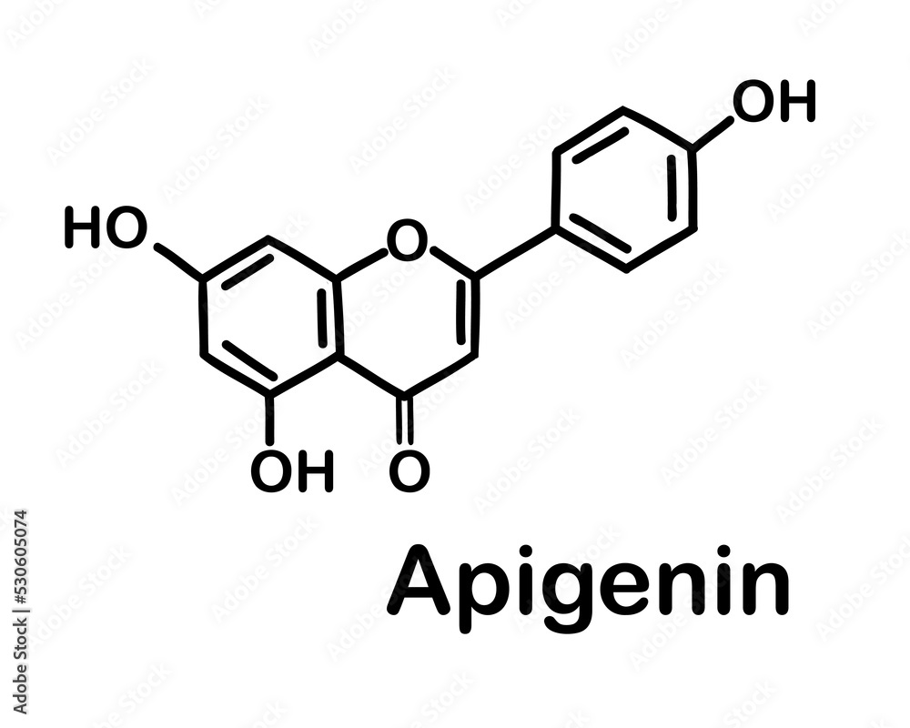 Chemical structure of apigenin. Apigenin is one of the most common aglycone flavonoids, a natural antioxidant with anti-inflammatory and anti-carcinogenic properties. Chemical structure of apigenin. Chemical structure of apigenin. Apigenin is one of the most common aglycone flavonoids, a natural antioxidant with anti-inflammatory and anti-carcinogenic properties. Chemical structure of apigenin.