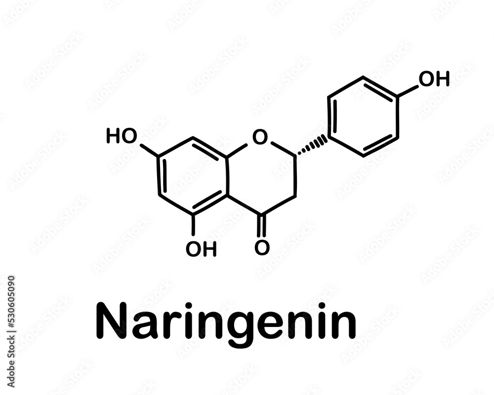 Chemical structure of naringenin. Vector illustration. Naringenin is one of the flavonoids. Chemical structure of naringenin. Vector illustration. Naringenin is one of the flavonoids.