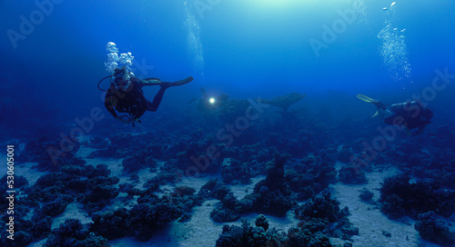 Beautiful underwater landscape and coral reef with divers  © Johan
