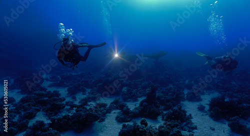 Beautiful underwater landscape and coral reef with divers 
