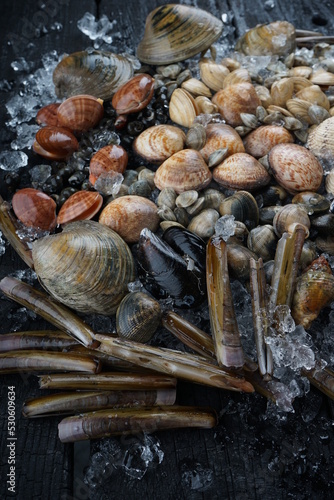 fresh sea molluscs of different species in a shell on ice on a black background vertical macro photo 