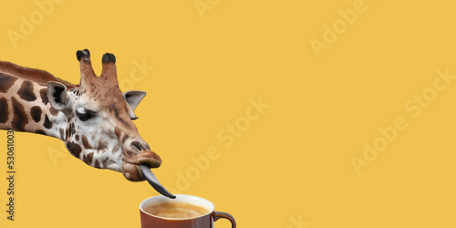 Funny giraffe tasting delicious coffee on yellow background.