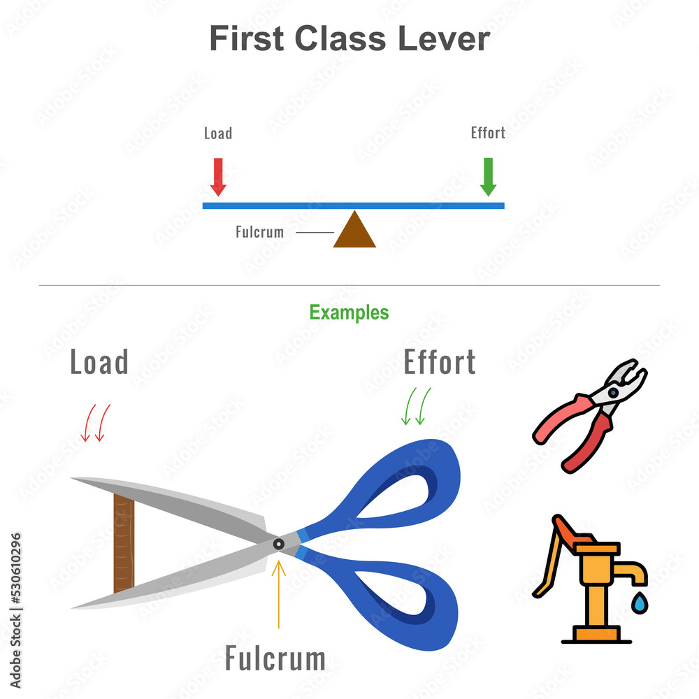 First Class Lever With The Examples Vector Illustration Stock first-class-lever-with-the-examples-vector-illustration-stock