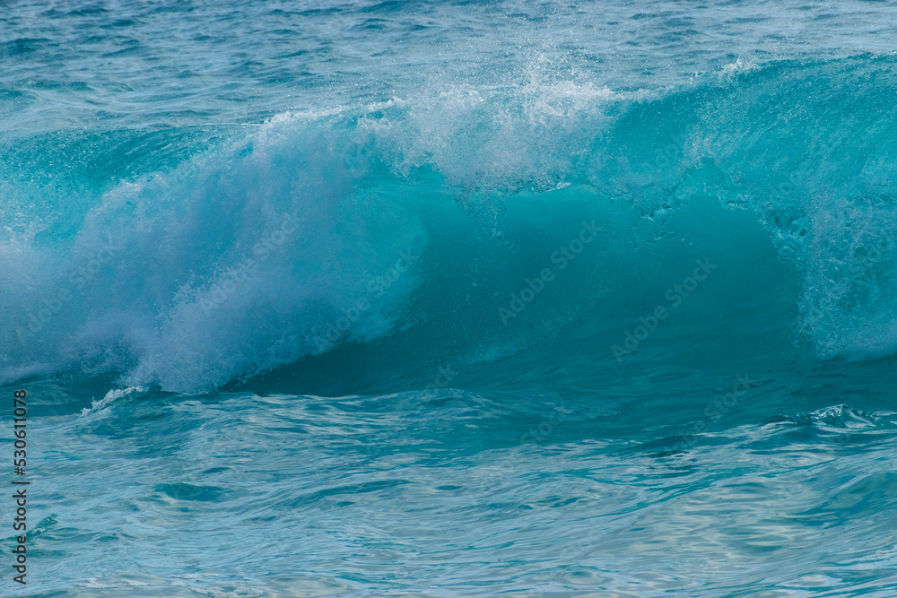 Fototapeta premium water wave