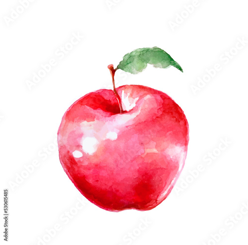 Red apple with green leaf  watercolor drawing