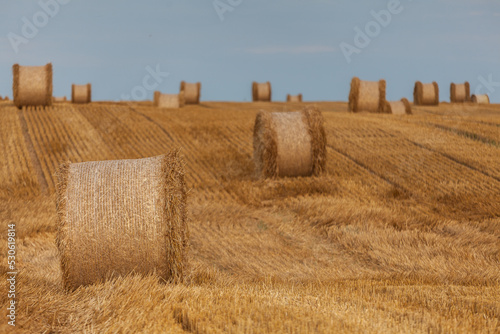 Fototapeta Naklejka Na Ścianę i Meble -  View of the Masurian fields.
