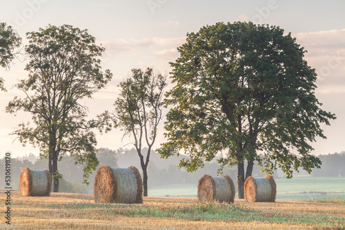 Fototapeta Naklejka Na Ścianę i Meble -  View of the Masurian fields.