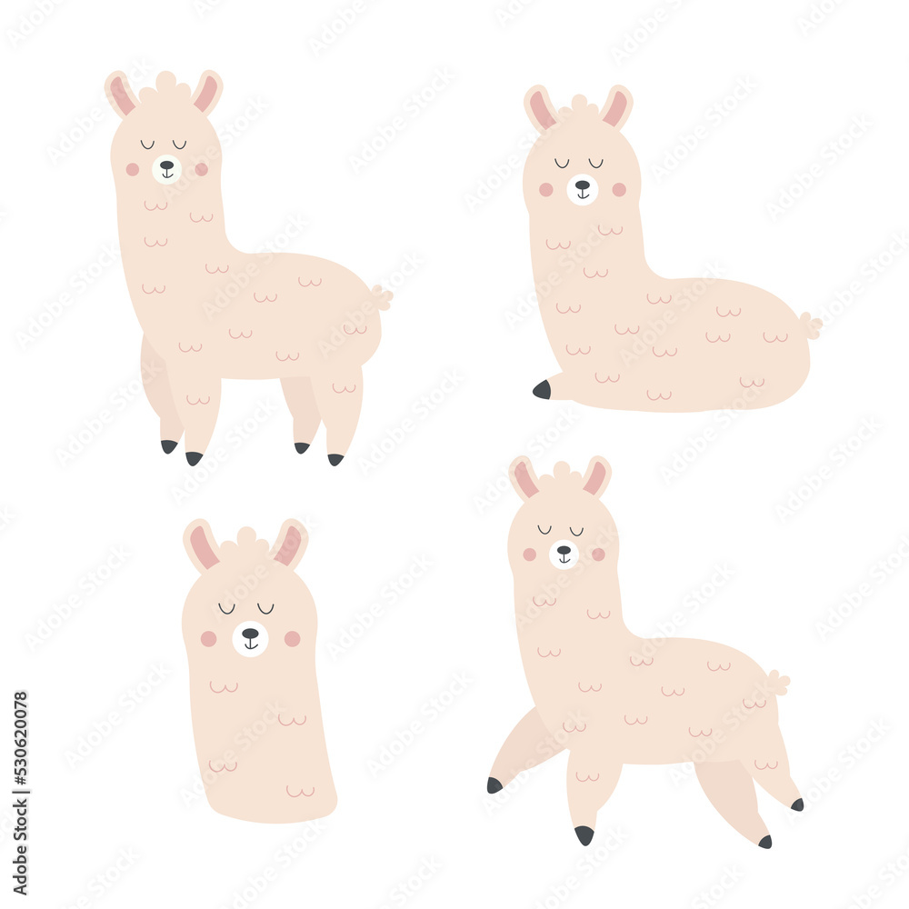 Fototapeta premium Set of character cartoon lama in boho style. Vector illustration.