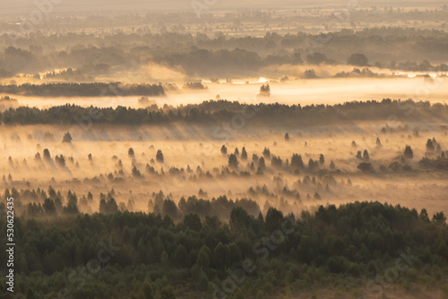 Thick morning fog glowing in the rays of the sun over the forest in autumn. Misty landscape in early morning. Top view