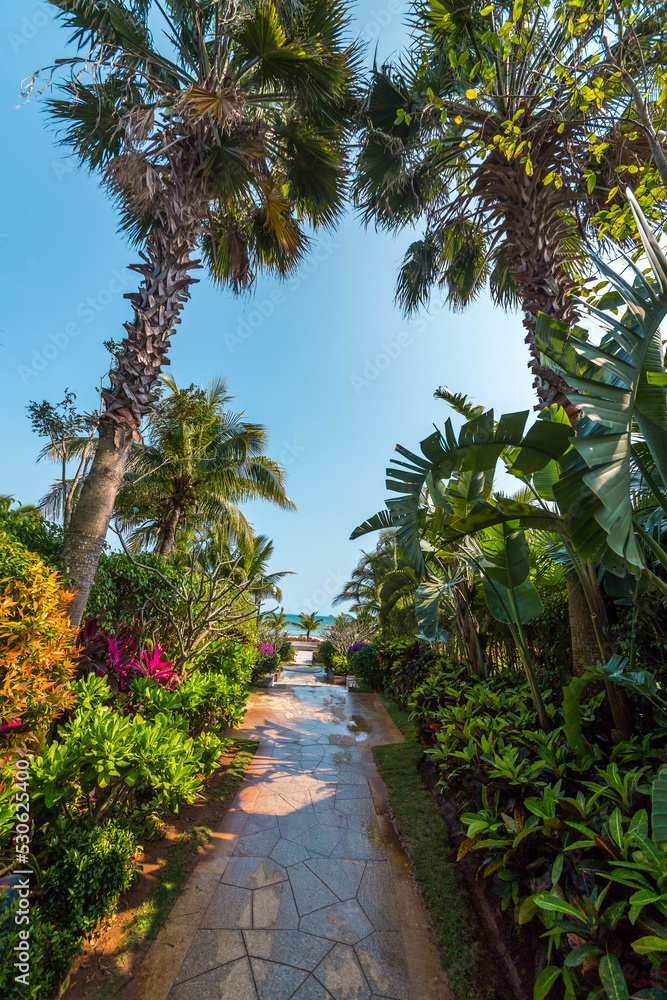 Fototapeta premium seaside in Sanya China