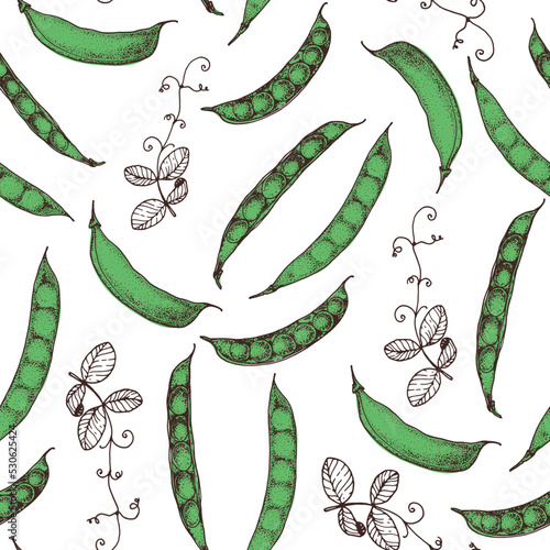 Green pea seamless pattern. Hand drawn background. Vector illustration. Hand drawing sketch illustration. Green pea vegetable hand drawn backdrop.