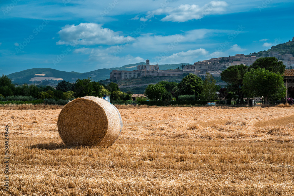 Fototapeta premium Assisi, a journey through history and religion.