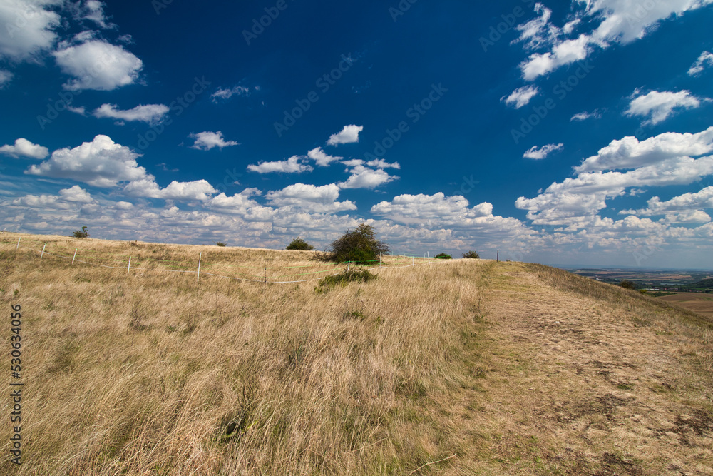 Dry grass on Table mountain in Palava, in hot summer day under white clouds and blue sky. Czech Republic.