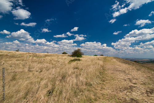 Dry grass on Table mountain in Palava  in hot summer day under white clouds and blue sky. Czech Republic.