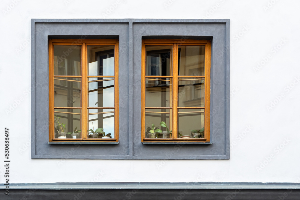 Two rectangular gray windows with brown wooden frames against a white wall. From the Window of the World series.