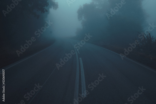 foggy road, morning highway in fog, cold tones