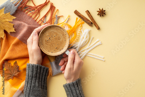 Fototapeta Naklejka Na Ścianę i Meble -  Autumn inspiration concept. First person top view photo of female hands in jumper holding mug of fresh coffee over plaid scarf cinnamon sticks anise fallen maple leaves on isolated beige background