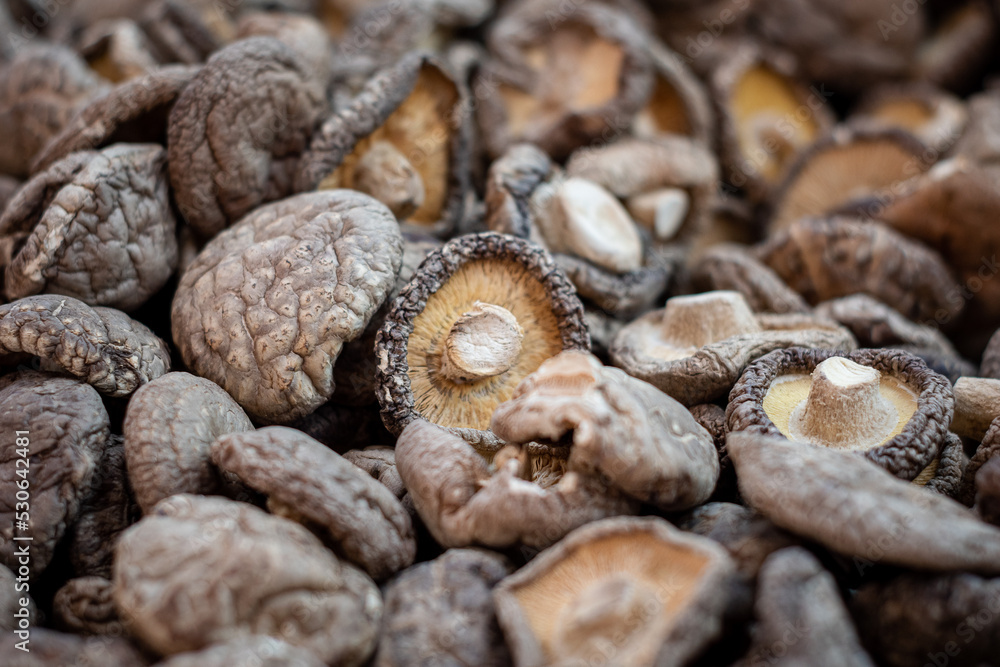 Deliciosos hongos disecados en mercado tailandes