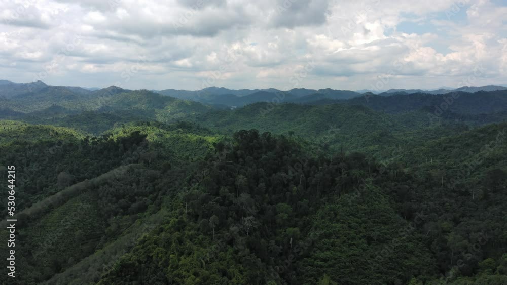 Aerial view of scenic primary tree Jungle tropical rain forest in Yala,Thailand. beautiful environment nature on green mountain hill woodland, scene ecology building good oxygen and best ozone Aerial view of scenic primary tree Jungle tropical rain forest in Yala,Thailand. beautiful environment nature on green mountain hill woodland, scene ecology building good oxygen and best ozone