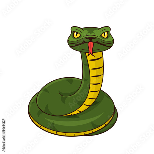 Green snake on white background. Snake with tongue out. Coiled green snake