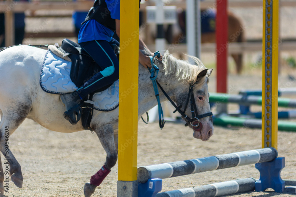 Horse that refuses to Jump an obstacle during a Pony Game Competition at the Equestrian School Horse that refuses to Jump an obstacle during a Pony Game Competition at the Equestrian School
