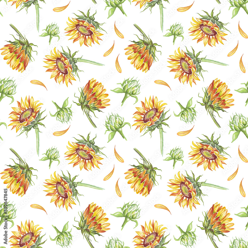 Sunflower. Seamless pattern. Watercolor illustration. Hand-painted