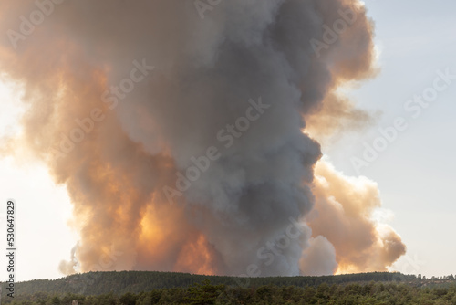 Fototapeta Forest fire wreaks havoc on causse de sauveterre.