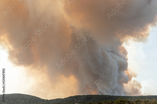 Fotografie, Obraz Forest fire wreaks havoc on causse de sauveterre.