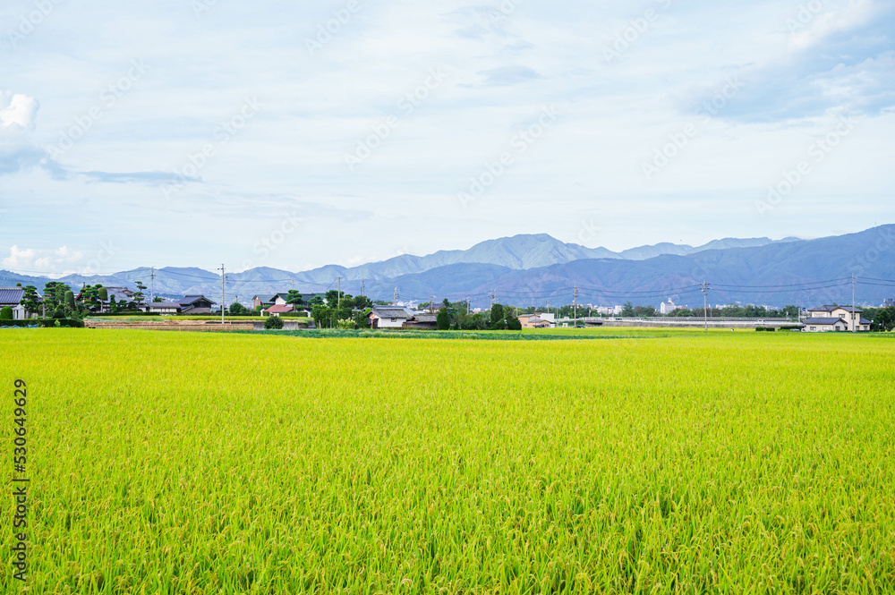 秋の田園風景　松本市郊外