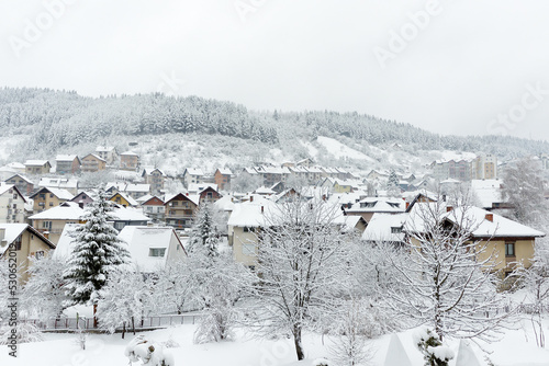 Cozy small European town on a snowy winter day. Village houses and forest are covered with fresh snow.