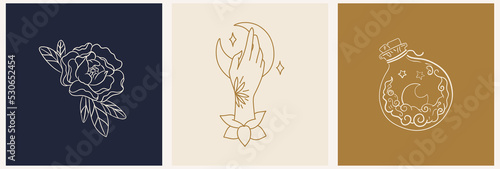A set of mystical templates for a logo and postcards with a potion, a hand and a rose. Dawn with flowers - luxury and jewelry concepts for exclusive services and products, beauty and spa industry