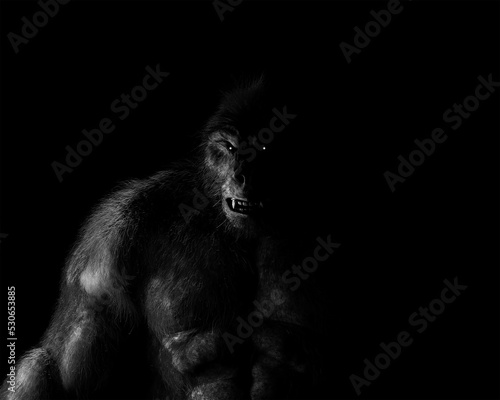 Fototapeta A portrait in black and white of a Gugwe Bigfoot variant