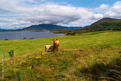 Lough Currane near Waterville