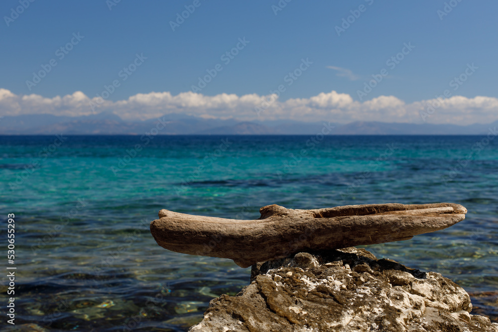 A tree branch on the blue beach, natural mockup. Blue lagoon. Copy space.