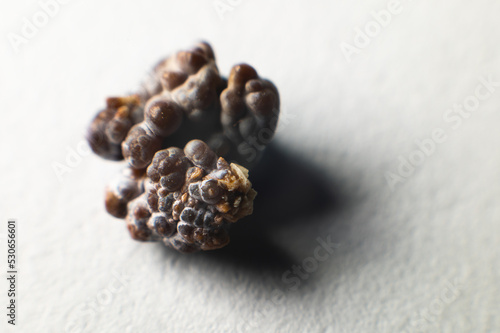 Fotografie Macro extreme nephrolithiasis - close-up of a kidney stone renal calculus or nephrolitis on a white background